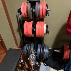 ダンベルプレート及び懸垂マシン
