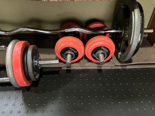 ダンベルプレート及び懸垂マシン
