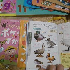絵本　図鑑　めいろ　シールの画像