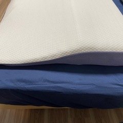 枕（トゥルースリーパー
）の画像