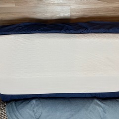 枕（トゥルースリーパー
）