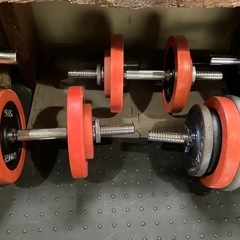 ダンベルプレート及び懸垂マシン
の画像