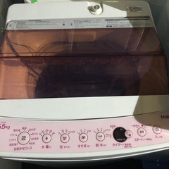 即納可！特価/2019ハイアール/洗濯機/5.5kg 