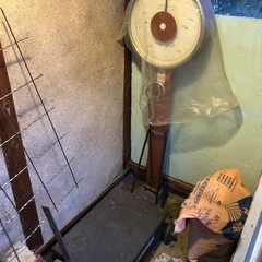 IUCHI SCALEイウチ　スケール　お値下げしました！値段交...