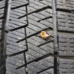 BS BRIDGESTONE BLIZZAK VRX2 215/50R18 18インチ スタッドレス 4本 ヤリスクロス CX-3 VW/T-Roc audi/Q2等　(KTN249)の画像