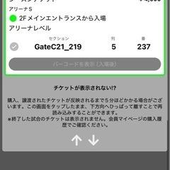 琉球ゴールデンキングス　チケット　宇都宮戦 