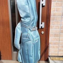 レディース ゴルフクラブ フルセットおまけ付ワールドイーグル G...