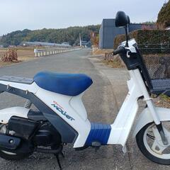 スズキ　モレ　実働　山鹿市より