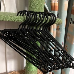 プラスチックハンガー