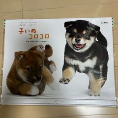 【100円】カレンダー 2025 子いぬコロコロ（壁掛け） (ヤ...