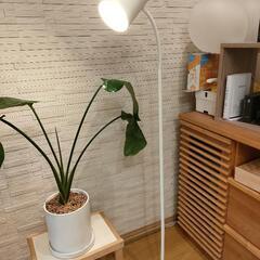 ニトリ　フロアライト　フロアランプ