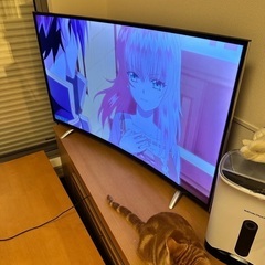 48型 曲面 デジタルハイビジョン 液晶テレビの画像