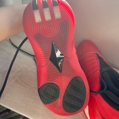 ハーデン　バッシュ　25センチの画像