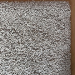 ニトリ　カーペット　美品
の画像