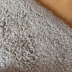 ニトリ　カーペット　美品
