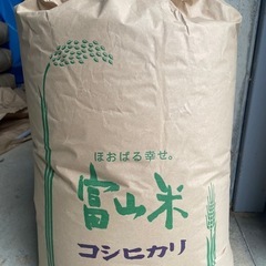 コシヒカリ　米　R6年　新米　玄米30kg 再販①
