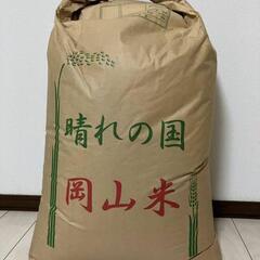 令和6年産きぬむすめ10キロの画像