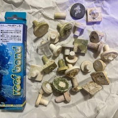 カミハタ　リーフボンド　１１２ｇ　水中接着剤　レイアウト　接着