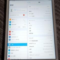 iPad mini5 64GB[Wi-Fi + Cellular]+？？の画像