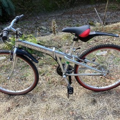 折りたたみ自転車