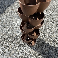 100均植木鉢ストロベリーポット等の画像