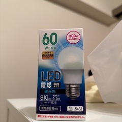 ダイソーLED電球