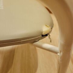 スリーコインズ　豆イスの画像