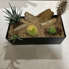 ドライガーデン ロックガーデンの画像