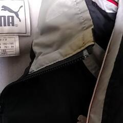プーマ　上着　160サイズの画像