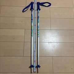スキーストック　80cm