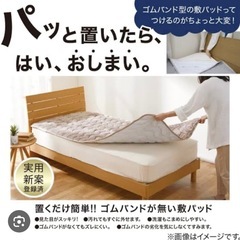 【値下げ】ニトリ Nウォーム 置くだけ敷パット ダブル モカ ①の画像