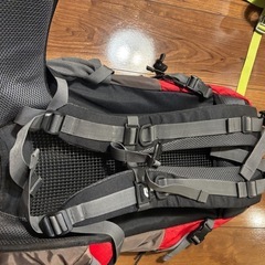 (決まりました)ザック40リットルの画像