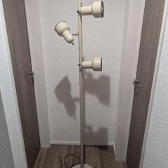 フロアライトの画像