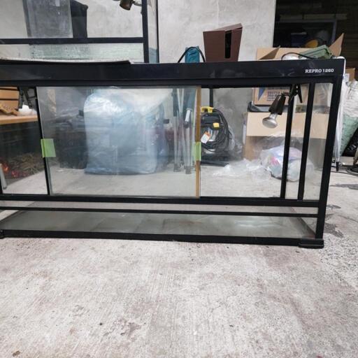 大型 爬虫類ゲージ