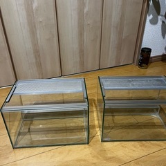 レプテリアクリア300low 二つセット