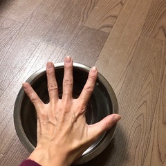 ボウルたちの画像