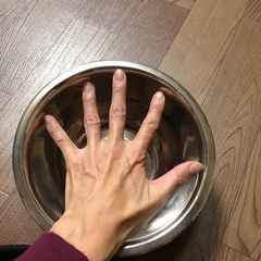 ボウルたちの画像