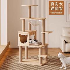 猫の登山フレーム（中国製）宅配可能の画像