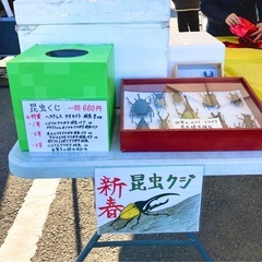 🌈1/5✨昆虫くじ&メダカすくいイベント御礼✨ - 藤沢市