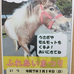 🌈1/5✨昆虫くじ&メダカすくいイベント御礼✨ - イベント
