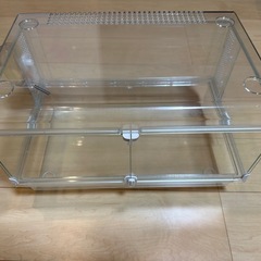 【決まりました】ハムスター育成セット の画像