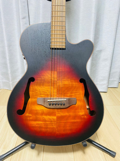 エレアコ　Fホール&限定カラー エレアコFホール&限定カラー