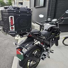スズキギクサー150の画像