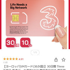 至急→ ヨーロッパ30ヵ国　開通済みSIMカード残り7GB