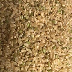  ◆新米◆1等米【特別栽培米減農薬】ヒノヒカリ【ふるさと納税に選ばれました】　奈良県明日香村近くで栽培②の画像