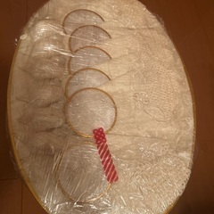 綺麗な貝のテーブルウェア　