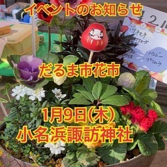 1/9だるま市花市