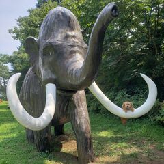 ♪.:*:'゜☆.:*:'゜★Photoshopを実践的にお教えいたします★　☆.:*:・'゜♪.:*:・' の画像