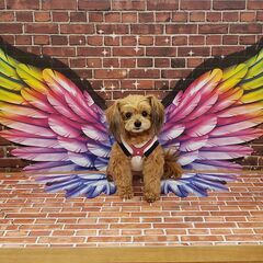 ♪.:*:'゜☆.:*:'゜★Photoshopを実践的にお教えいたします★　☆.:*:・'゜♪.:*:・' の画像
