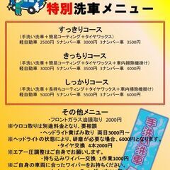 洗車に伺います。その他、お仕事も相談して下さい。    - 前橋市